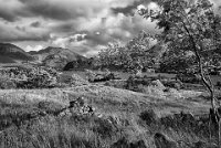 324 - LOCH LONG VIEW - GILKERSON JOHN - united kingdom <div